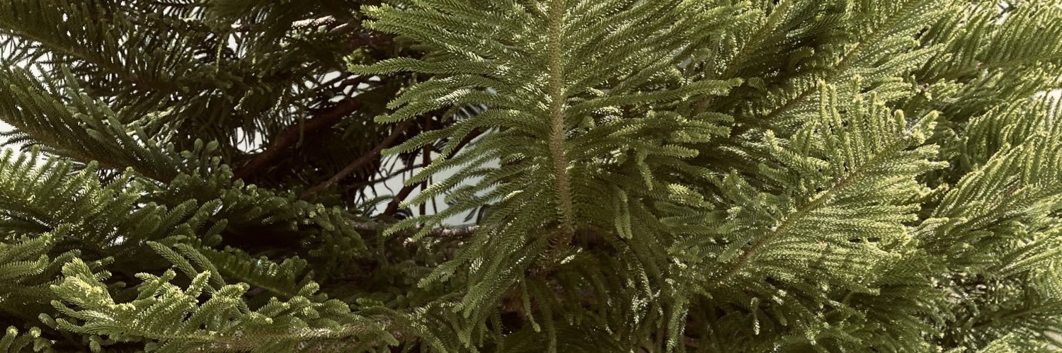 Sandra_sc8's profile banner image