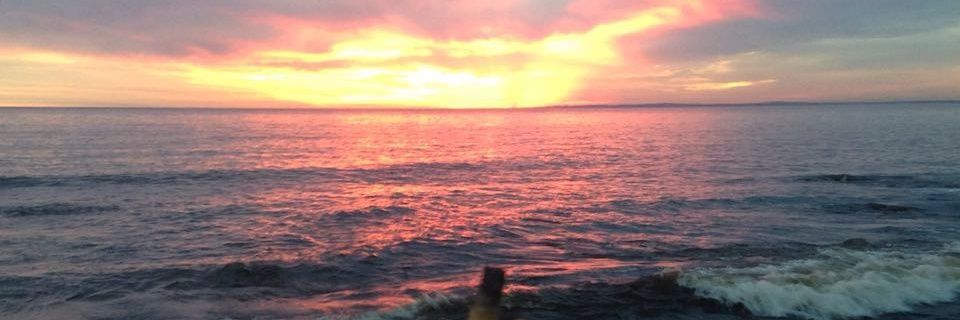 AnotherFatGuy's profile banner image