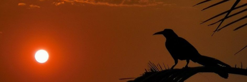 Uliana__sinJ's profile banner image