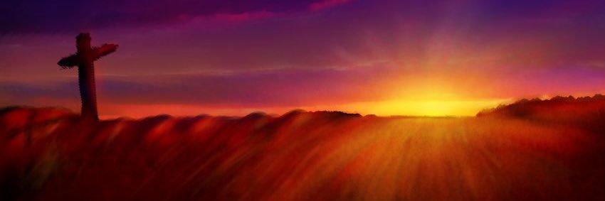 twilltakeoff's profile banner image