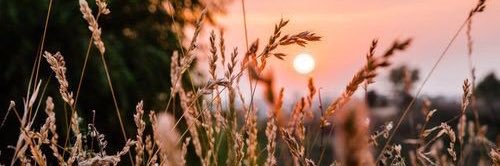 21_nadiaa's profile banner image