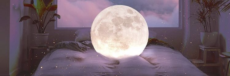danielavogb's profile banner image