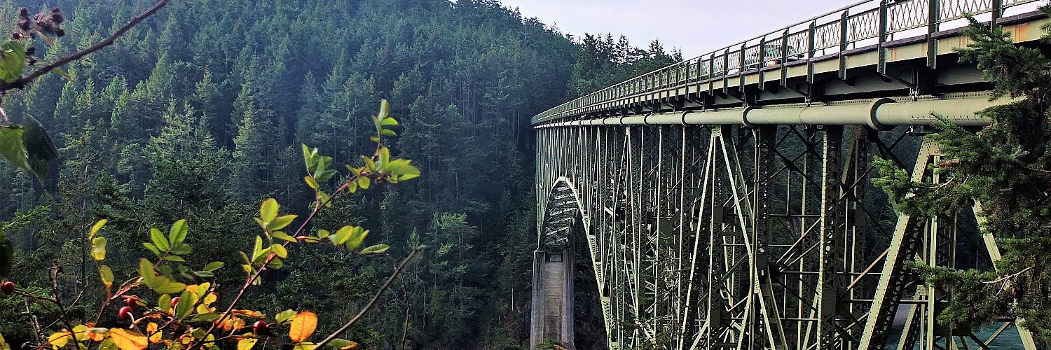 WhidbeyLocal's profile banner image