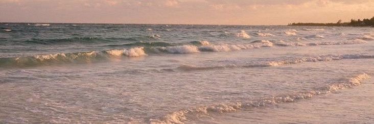 semibreviss's profile banner image