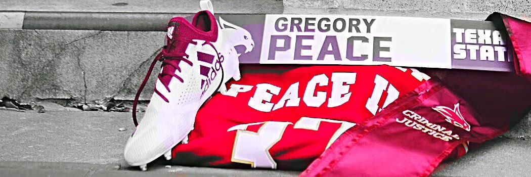 TheLast_PeaCe's profile banner image