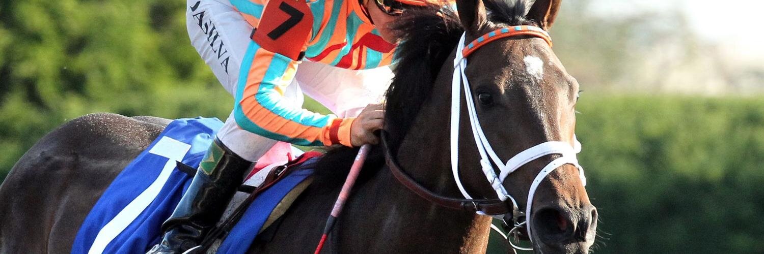 ConquestStables's profile banner image