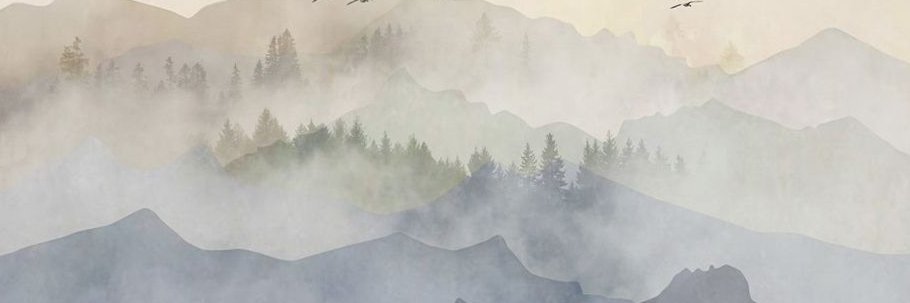 Devon Magnússon banner