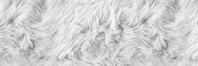 ellnan_'s profile banner image