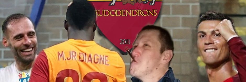 Rudodendrons's profile banner image