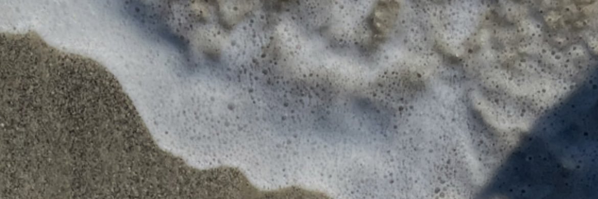 chanicole14's profile banner image