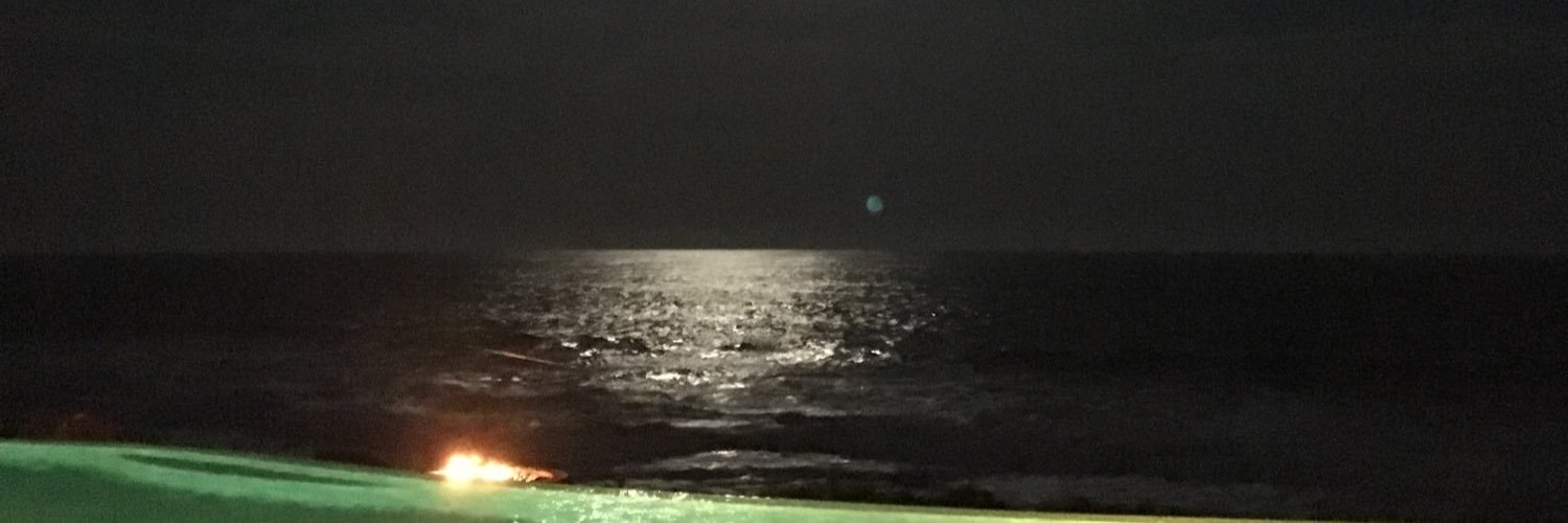 pvj11's profile banner image