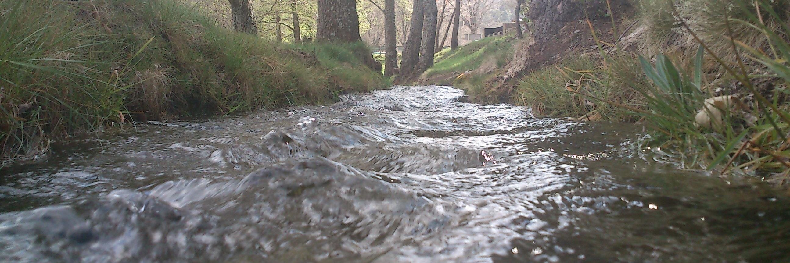 Javier Collado banner