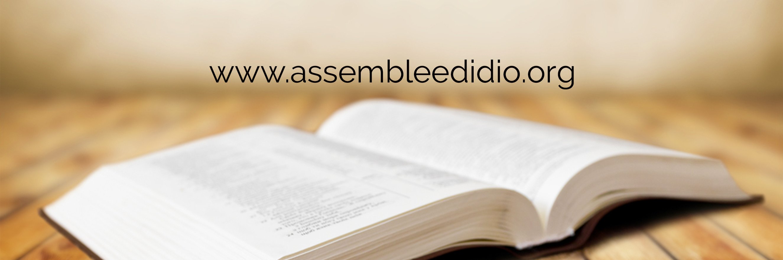 assembleedidio's profile banner image