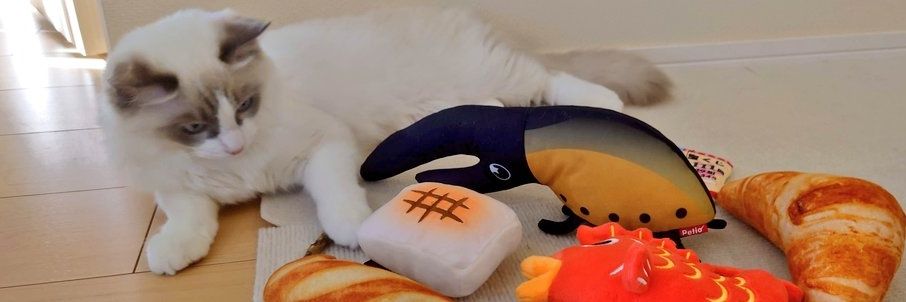 yudq10's profile banner image