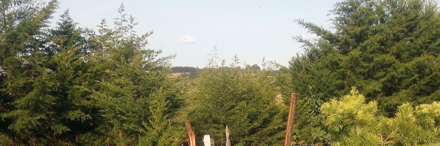 ItsKipJB's profile banner image