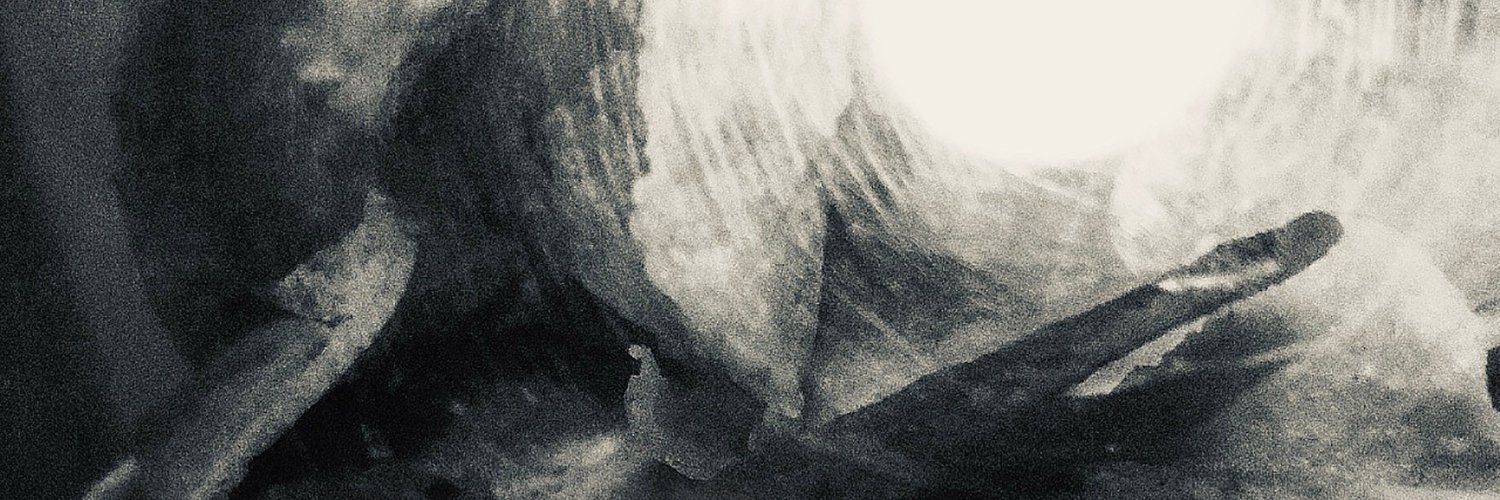 Daniel Hidalgo banner