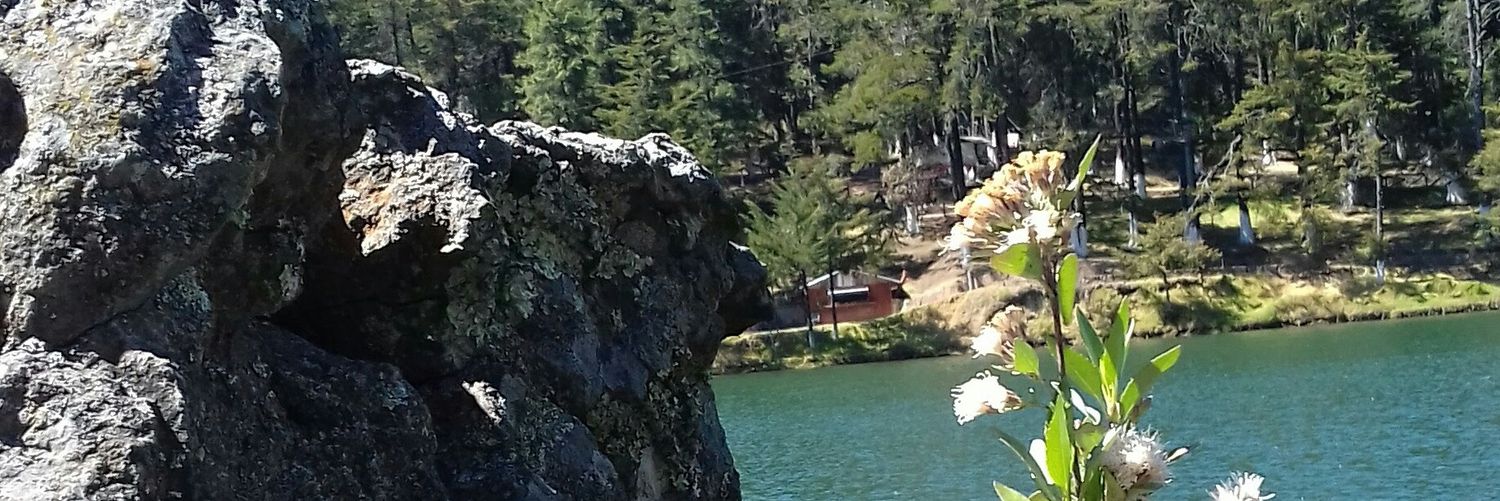 Milka_DM's profile banner image