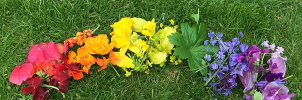 Woodlands_Edin Profile Banner