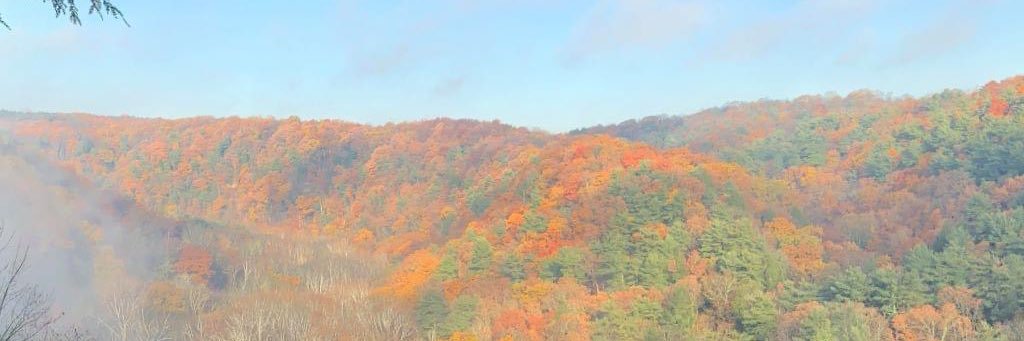 DiscoverMohican's profile banner image