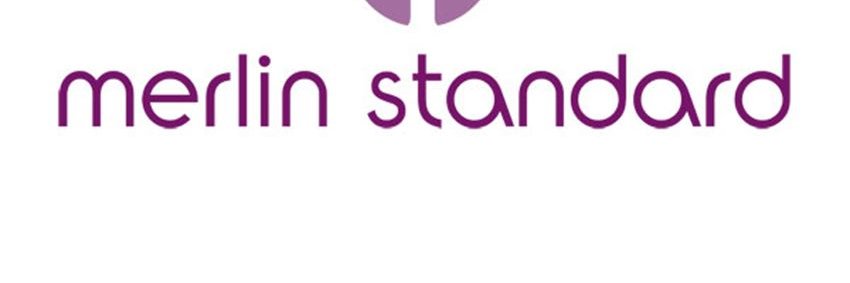 The Merlin Standard banner