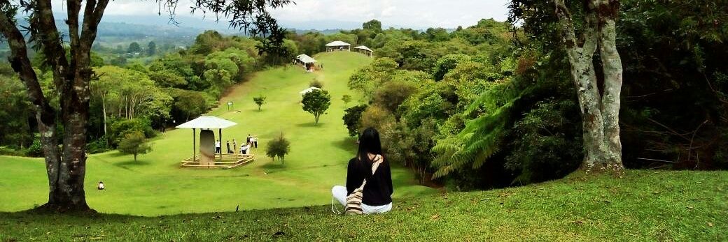 _luisaDiaz's profile banner image