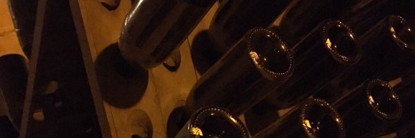 dan_haugh Profile Banner