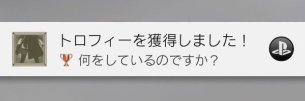 poccora_ Profile Banner