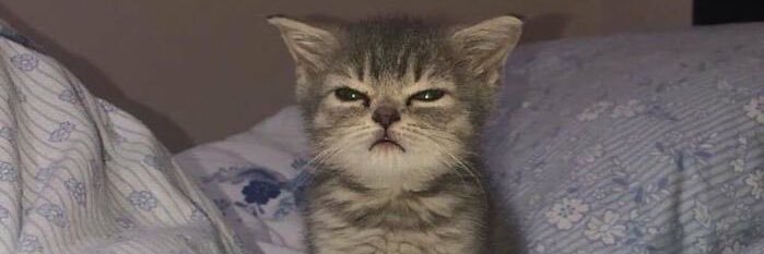 javonsaunders2's profile banner image