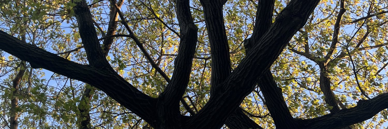 levanagh's profile banner image