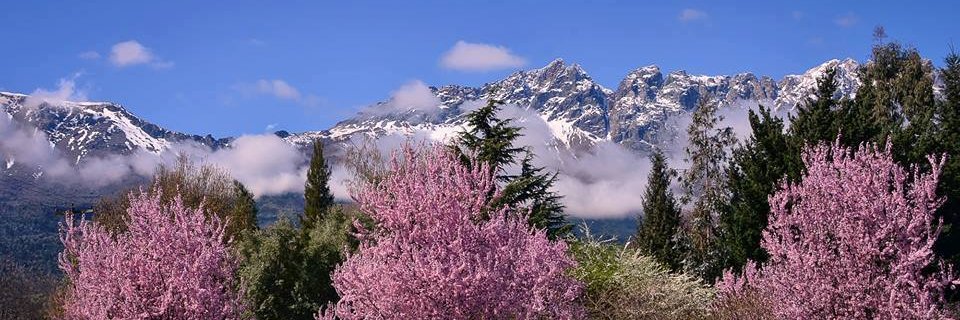 Val banner