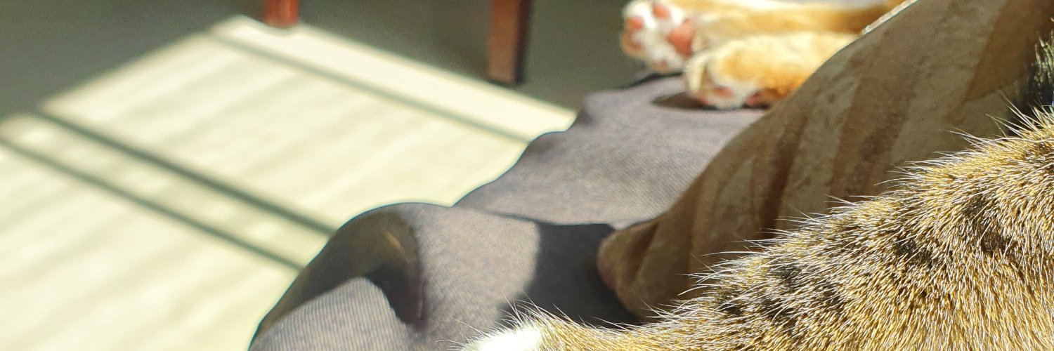 NataliaavAv's profile banner image