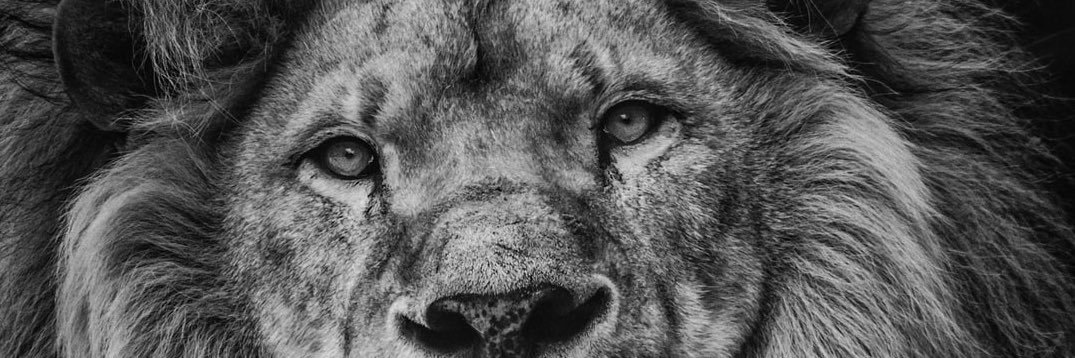 Carlos_gtb's profile banner image