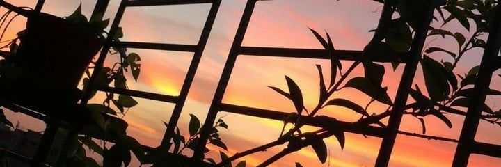 Melodabby's profile banner image