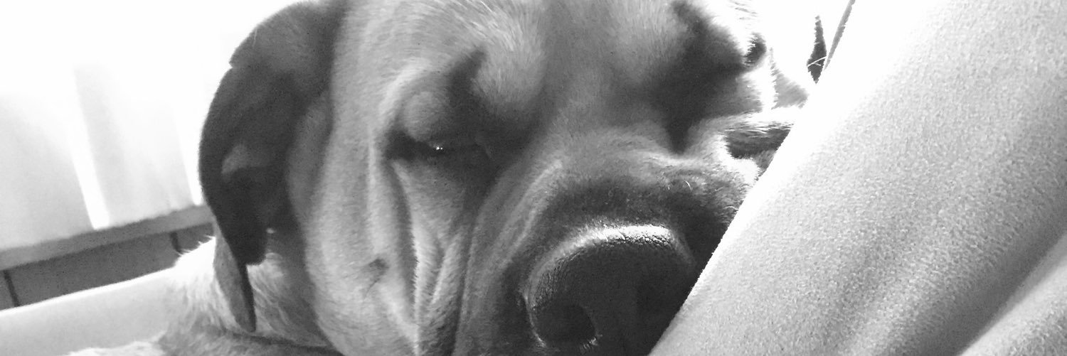 amybradoc1's profile banner image