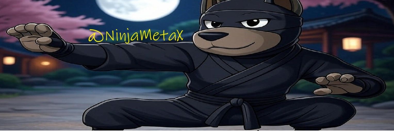 Ninja banner