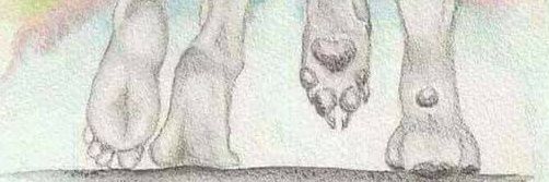 PitBull666's profile banner image