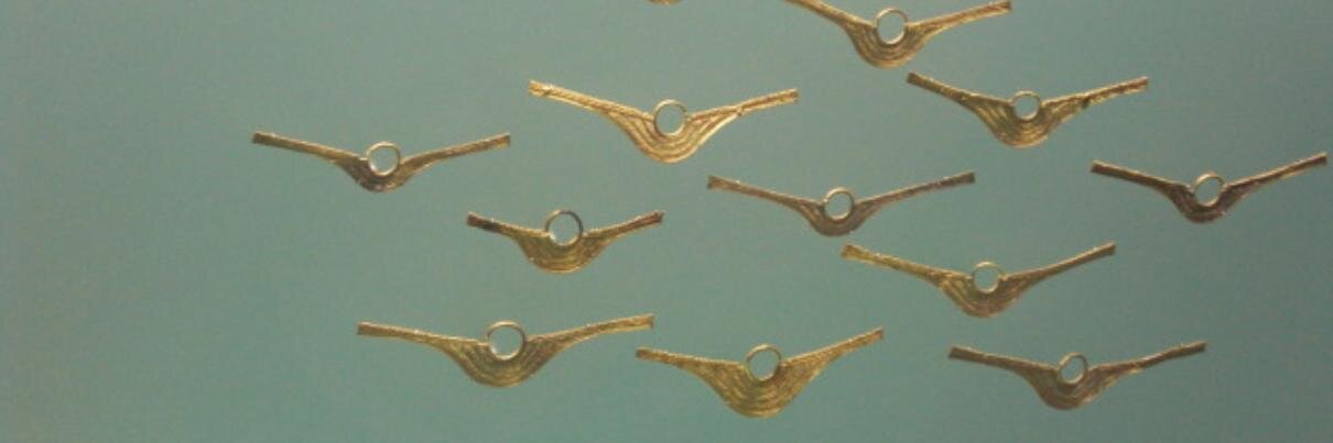 Marco Navas Alvear banner