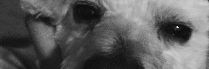 sollopez____'s profile banner image