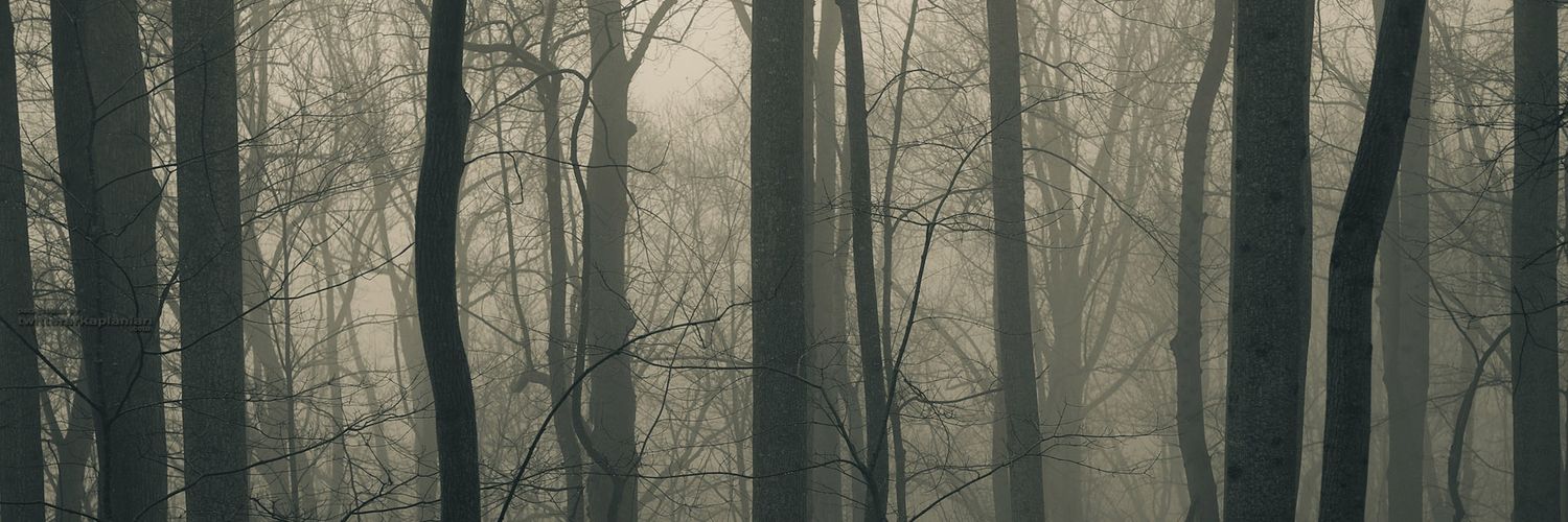 avkatanimm's profile banner image