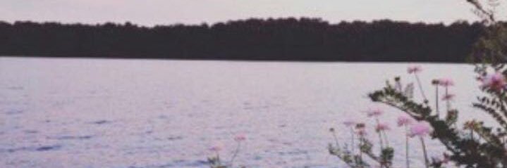 Q_pm00's profile banner image