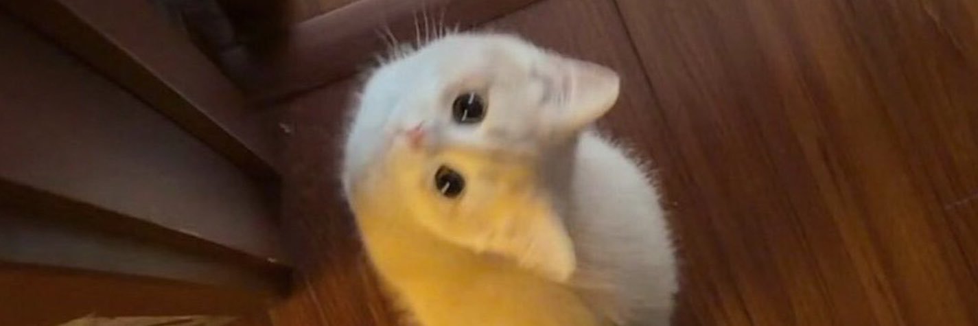 bennyj53's profile banner image