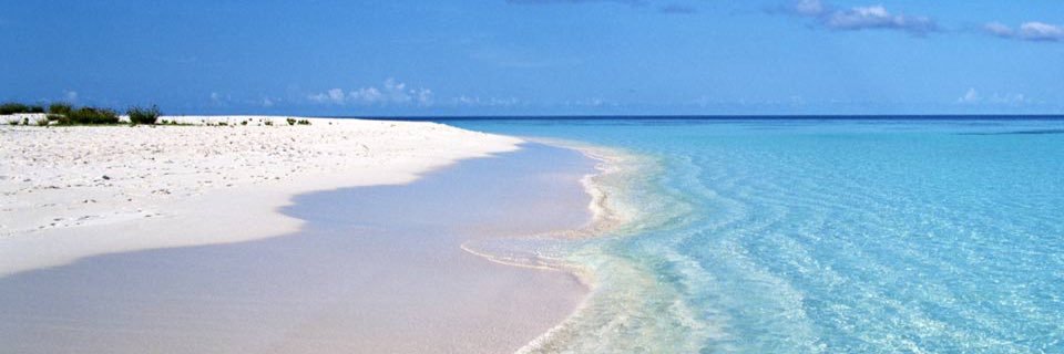 FriessRachael's profile banner image