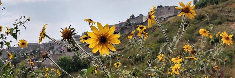 Bettyosma's profile banner image