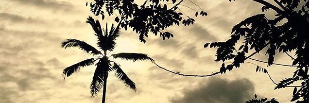 aashadavis's profile banner image