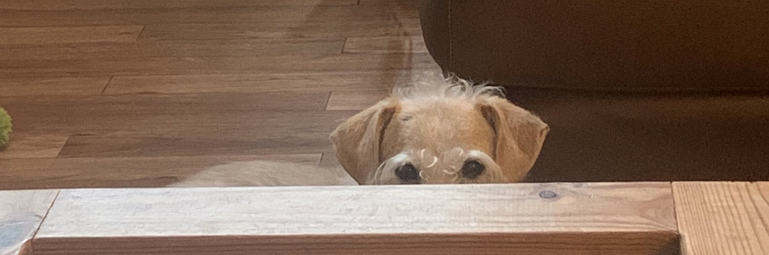 A Philadelphia Pigeon banner