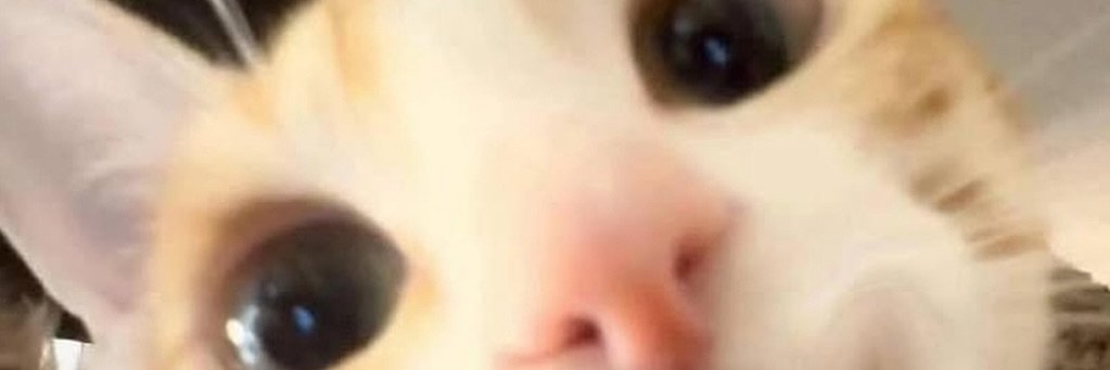 requireCS's profile banner image