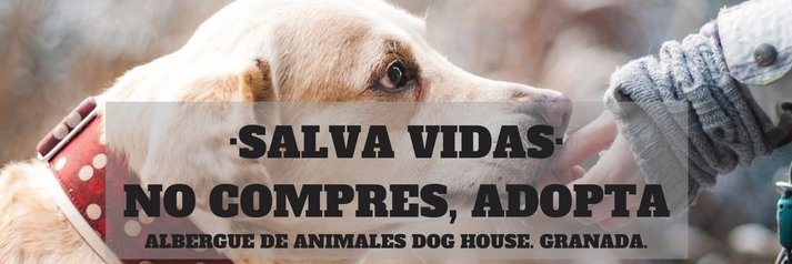 Albergue Dog House banner