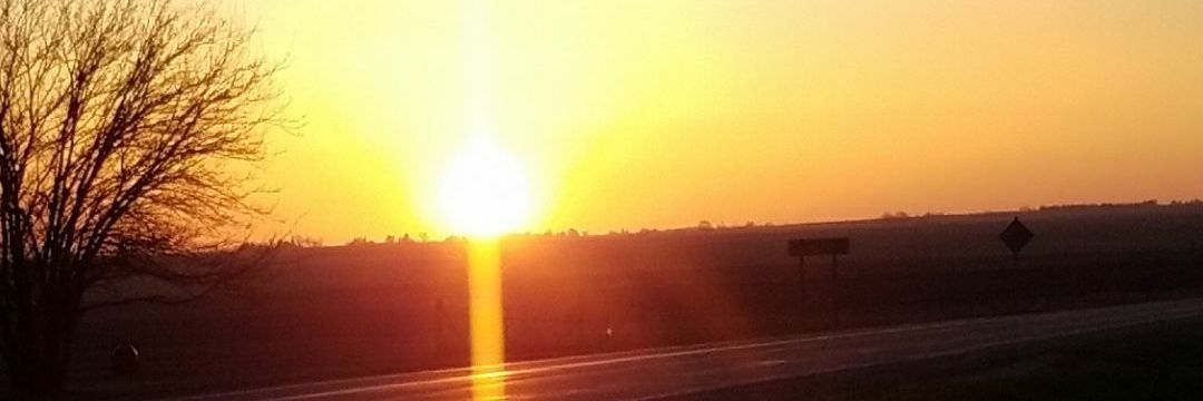 Timi Brown-Powers banner