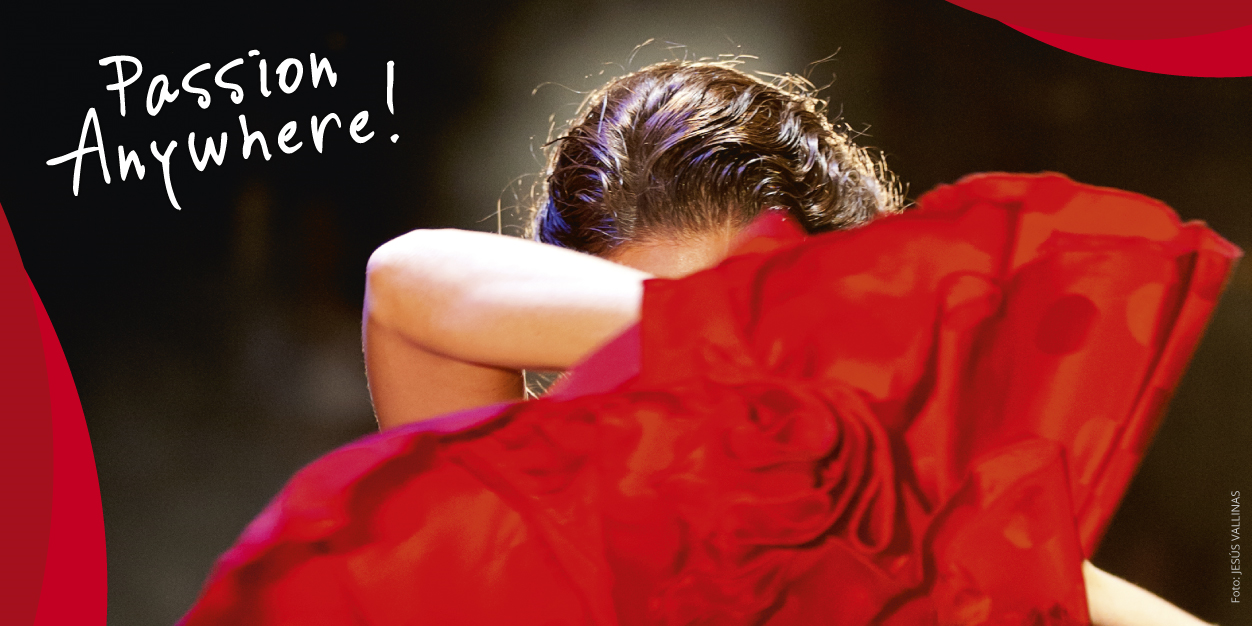 FlamencoStream's profile banner image