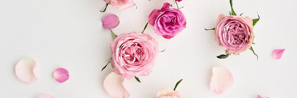 KaylaAndrea__'s profile banner image